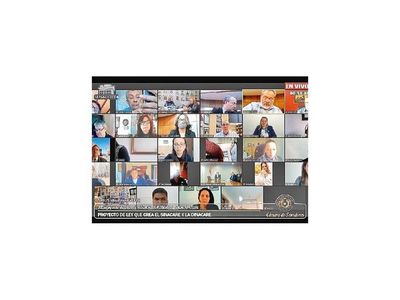 En audiencia virtual cuestionan registro único de las tierras