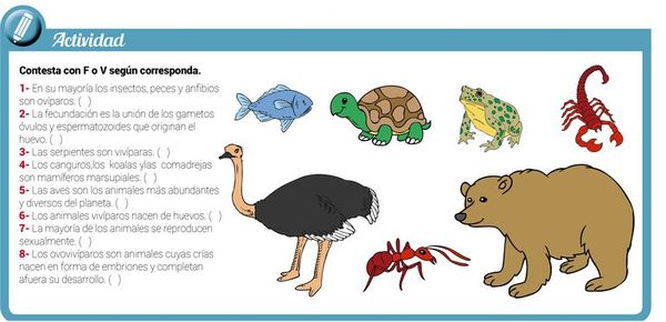 La reproducción sexual en animales - Escolar - ABC Color
