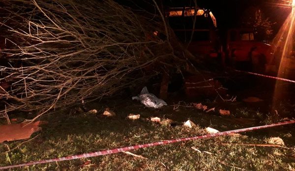 Muere conductor de camión tras chocar contra un árbol