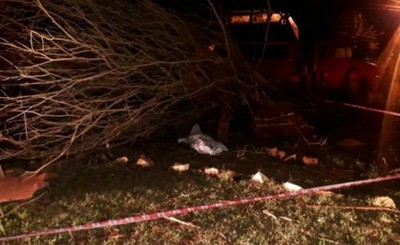 Joven camionero muere tras embestir contra un árbol y terminar volcado