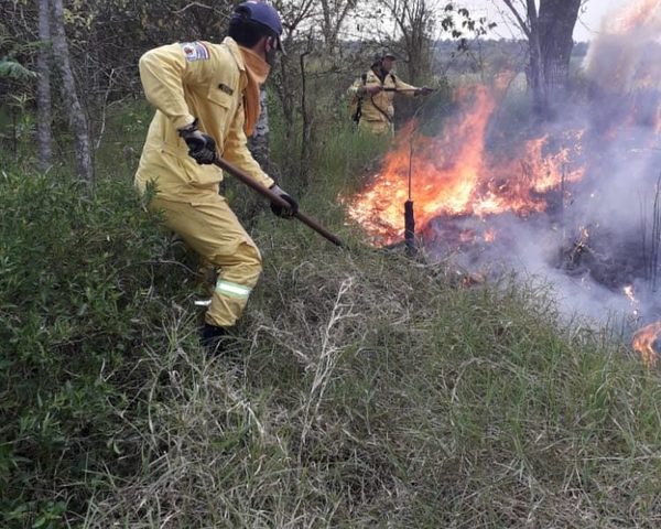 Bomberos piden evitar quemas de basuras – Diario TNPRESS