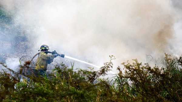 Focos de incendios es el doble de lo registrado en el mes de julio, según Infona