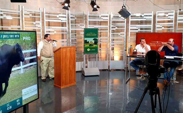 En un remate “muy ágil”, El Rodeo colocó el 100% de la oferta de Cabaña Galileo