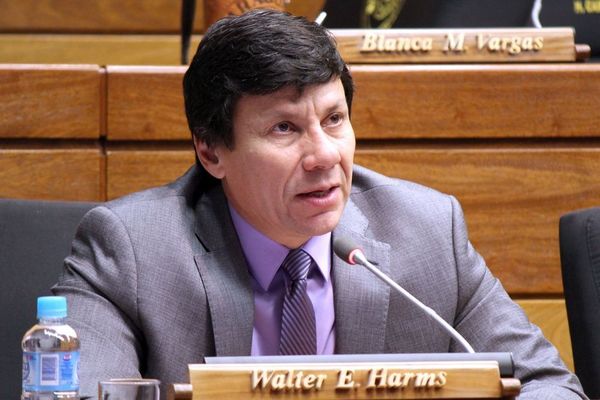 Harms por Friedmann: “No solo es delincuente sino actúa como mafioso” - ADN Paraguayo