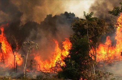 Incendios en la Amazonía registran en agosto segundo mayor número en 10 años » Ñanduti