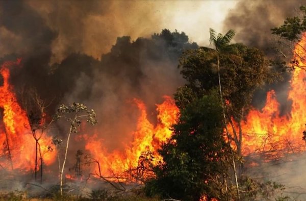 Incendios en la Amazonía registran en agosto segundo mayor número en 10 años » Ñanduti