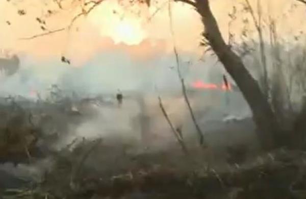 Incendios amenazan la reserva del Pantanal Paraguayo - C9N