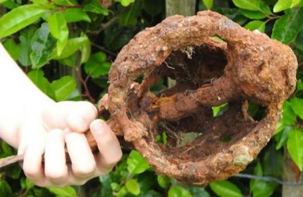 Niño recibe un detector de metales por su cumpleaños y encuentra una espada de hace 300 años - SNT