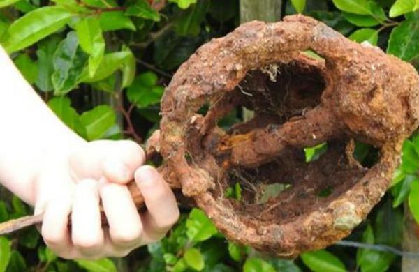 Niño recibe un detector de metales por su cumpleaños y encuentra una espada de hace 300 años - C9N