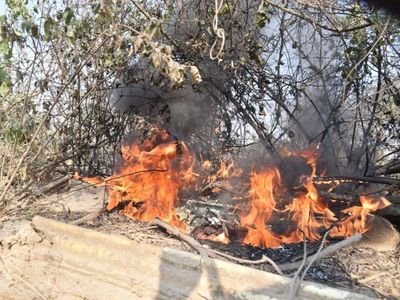 Ejecutivo dice que municipios deben prevenir y controlar quemas e incendios forestales