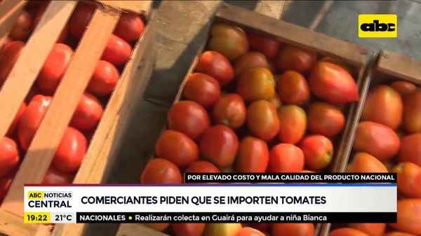Comerciantes piden que se importen los tomates - ABC Noticias - ABC Color
