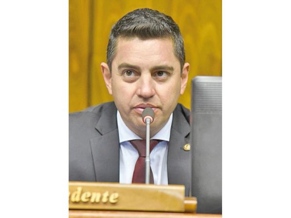 Alliana anuncia posible unificación de ANR en Senado