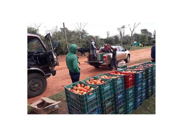 Importadores presionan para ingreso de tomate extranjero