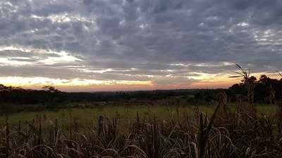 MITAD DE SEMANA CON CLIMA FRESCO A CÁLIDO CON VIENTOS DEL SUR