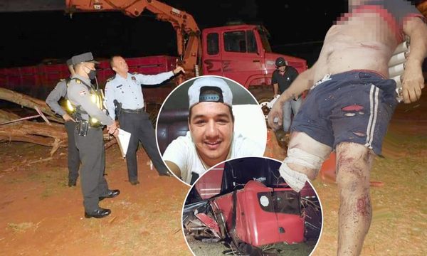 Conductor de un tractocamión muere al despistar y estrellarse contra un árbol – Diario TNPRESS