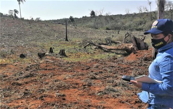 Mades intervine en finca deforestada por nativos, en zona de Corpus Cristi – Diario TNPRESS