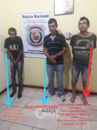 Hurtaron hasta heladera y fueron detenidos por la Policía en Pedro Juan