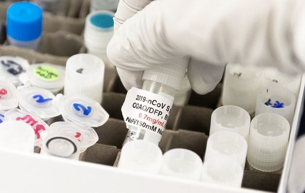 COVID-19: Sanofi Pasteur tiene dos vacunas en proceso - Nacionales - ABC Color