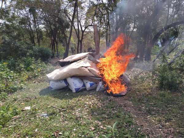 Antinarcóticos destruyeron más de 1.600 kilos de marihuana en Caaguazú - Noticiero Paraguay