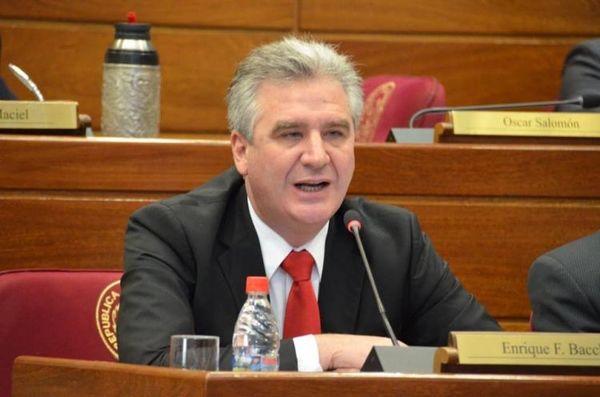 Bacchetta: «Rodolfito no es senador porque no fue proclamado por el TSJE»