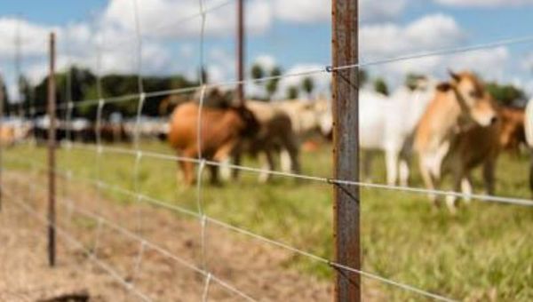 L'Acerie Paraguay dictará las Tendencias en Alambrados Rurales en charla online