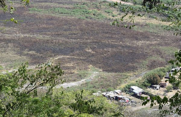 Quemas en la zona del cerro Lambaré dañaron ecosistema - Nacionales - ABC Color