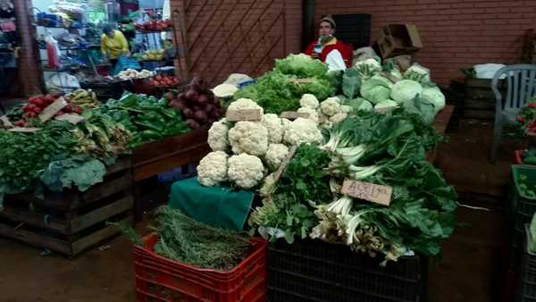 Feriantes se reúnen hoy para tomar postura contra la Patrulla Caminera