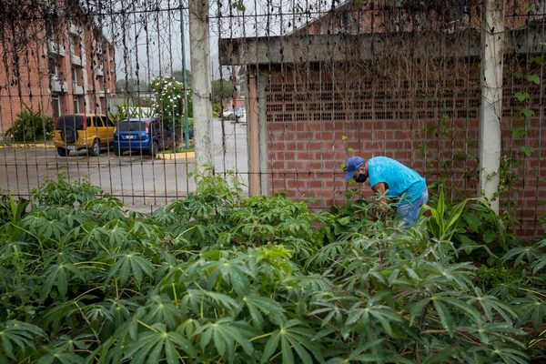 La crisis y el hambre ruralizan las ciudades de Venezuela - MarketData