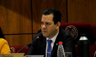 Postergan tratamiento del pedido de desafuero de Friedmann