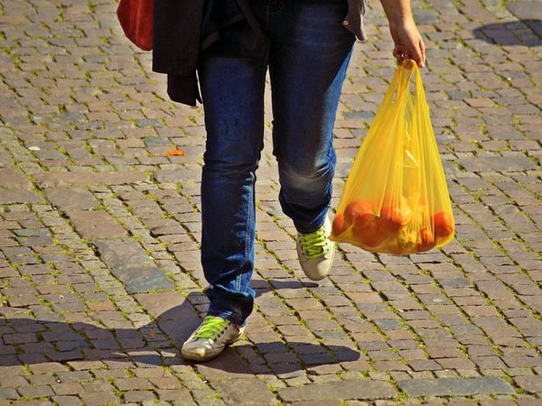 Aprueban uso temporal de bolsas de polietileno por medidas sanitarias