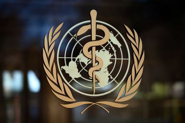 Comienza investigación de la OMS sobre gestión global de la pandemia - Mundo - ABC Color