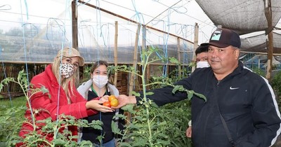 La Nación / Juntarán a productores y compradores a través de plataforma para facilitar comercio agropecuario