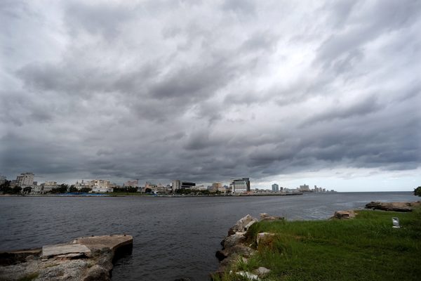 La tormenta Laura dañó más de 14.000 hectáreas de cultivos a su paso por Cuba - MarketData