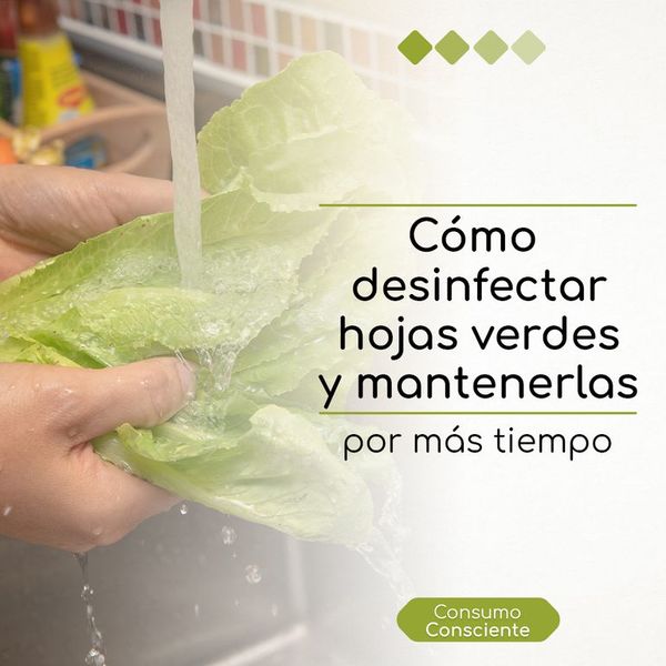 Cómo desinfectar los verdes y mantenerlos por más tiempo - Bienestar - ABC Color