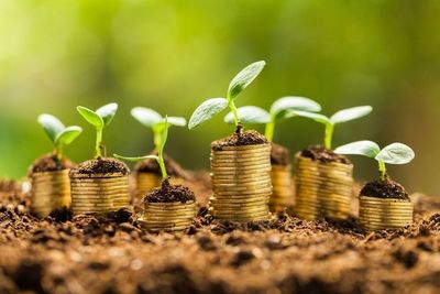 La CNV y su incursión en el mundo de las finanzas sostenibles - MarketData