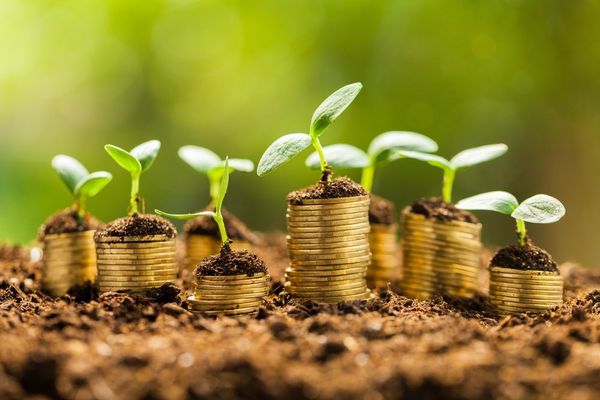 La CNV y su incursión en el mundo de las finanzas sostenibles - MarketData