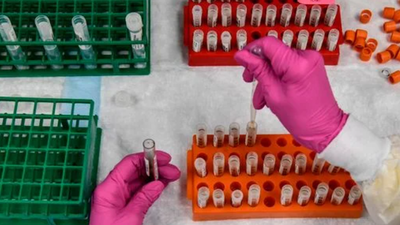 Un nuevo estudio realizado en Islandia establece cuánto tiempo duran los anticuerpos contra el coronavirus