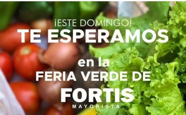 “Domingo Verde” de Fortis Mayorista en Concepción