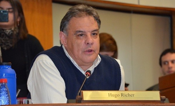 Richer: “Pensé que se iba a incorporar el pedido de desafuero de Friedmann”