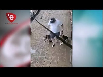 CELEBRAN PRIMERA CONDENA POR MALTRATO ANIMAL EN ITAPÚA