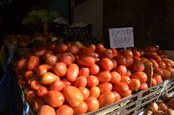 Guerra del tomate: o el gobierno libera importación o llevarán pleito a la justicia - ADN Paraguayo