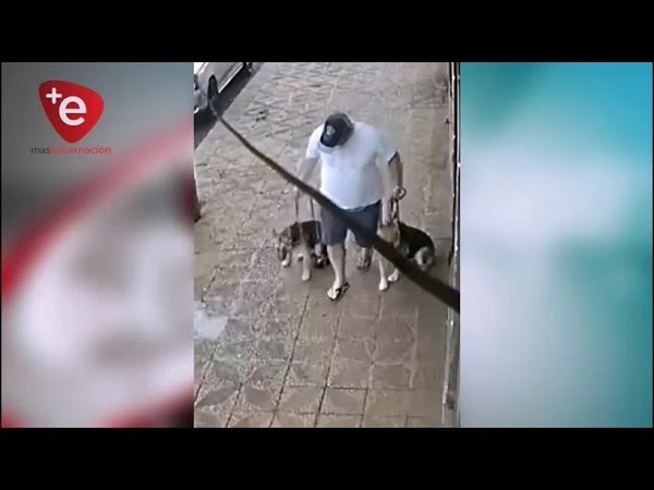 PRIMERA CONDENA POR MALTRATO ANIMAL EN ITAPÚA