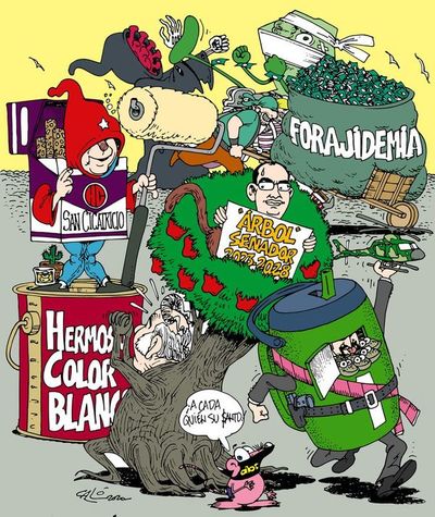 Ñe’ẽmbeweb - Ñe'ẽmbeweb - ABC Color