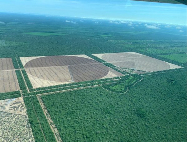 Riego las 24 horas en el Chaco y una apuesta a lograr 4 mil kilos de soja por hectárea