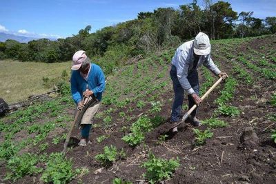 “Sumamos valor”: Producir de manera eficiente, responsable y segura