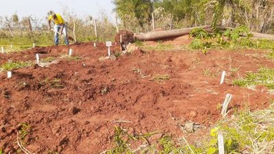 Exhuman restos de menores abatidas durante enfrentamiento entre EPP y FTC - Noticiero Paraguay