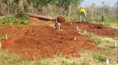 Crónica / Jueza ordenó desenterrar a menores abatidas en el norte