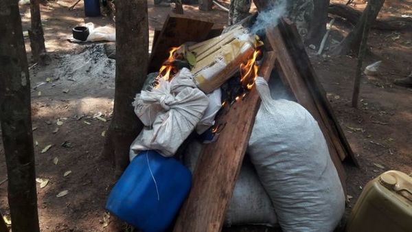 SENAD anuló 21 campamentos narcos y 39 toneladas de marihuana en Concepción