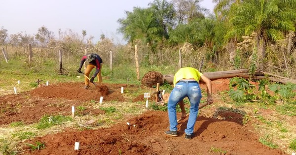 La Nación / Exhumaron cuerpos de menores y a las 14 horas llegarán a Asunción