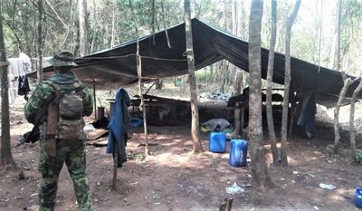Desmantelan 21 campamentos y destruyen 39 toneladas de marihuana en Concepción – Diario TNPRESS